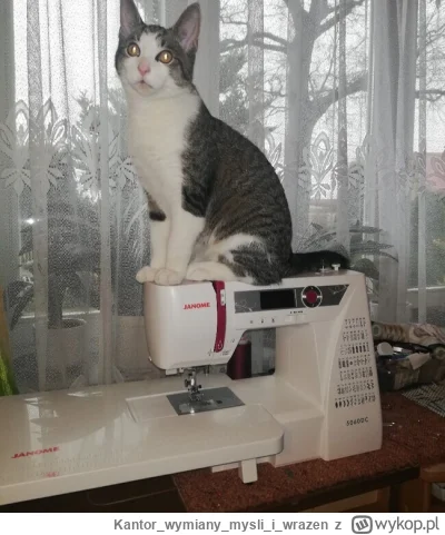 Kantorwymianymysliiwrazen - @Soothsayer: Umiesz sam? Marka to Janome?( ͡° ᴥ ͡°)