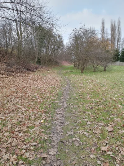 IronManZPodlasia - Idę przed siebie no bo gdzie #przegryw #spierdotrip