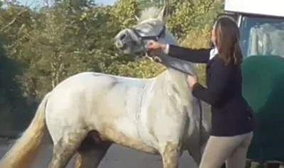 vivijes_official - #famemma