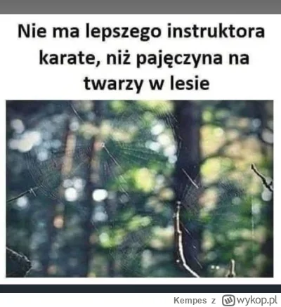 Kempes - #mma #heheszki