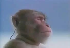 Malpigaj - @Drill90: tak