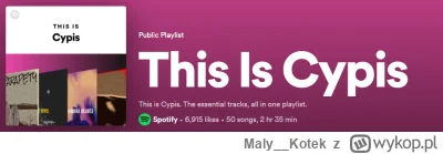 Maly__Kotek - Potrzebowałem tego, dziękuje Spotify