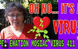 kglibow2 - Jaki antyvisurs dla grazyny dzielnie walczącej z internetem, po godzinach?...