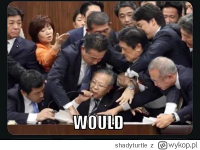 shadyturtle - @rayman_s: