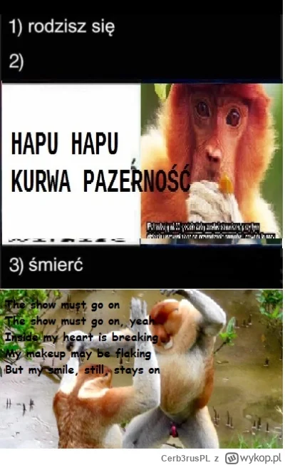 Cerb3rusPL - #konkursnanajbardziejgownianymemznosaczem