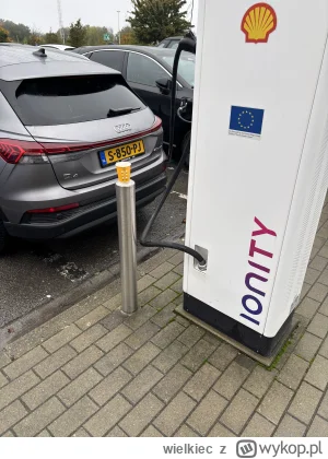 wielkiec - Nasza ładowarka postanowiła zrobić sobie wolne.