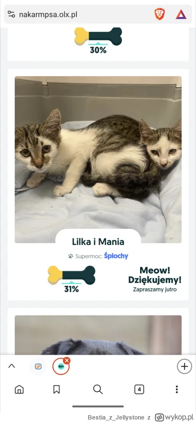 BestiazJellystone - @wybryk_natury: kurdefelek, przypomniałaś mi tym wpisem o www.nak...