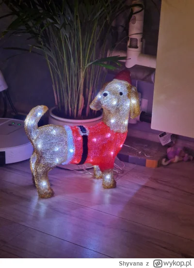 Shyvana - Do świąt jeszcze trochę, ale jak dzisiaj zobaczyłam w markecie świątecznego...