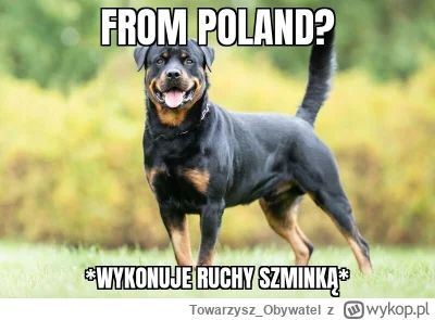 Towarzysz_Obywatel - #polka #p0lka #dogpill #blackpill #redpill