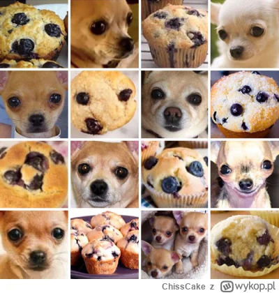 ChissCake - Muffin czy chihuahua?

#psy #humorobrazkowy #pieski #smiesznypiesek