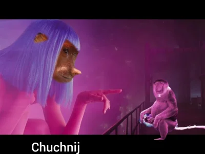 pawello321 - #konkursnanajbardziejgownianymemznosaczem 
#kolekcjaklasyki #niedzielawi...