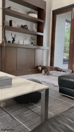 wfyokyga - Coś się znowu źle czuje, ide w spanko, dobranoc