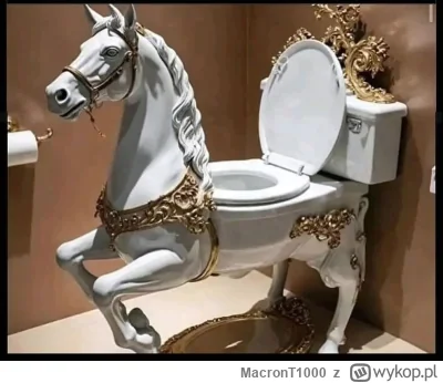 MacronT1000 - Chop to w pewnym wieku jes jak kibel, zajęty albo posrany
Ja: