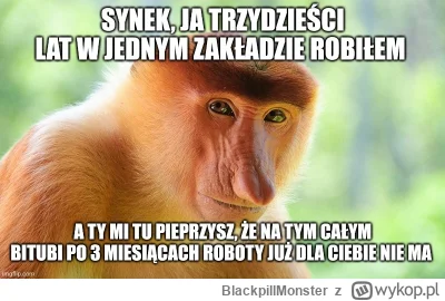 BlackpillMonster - #programista15k #programowanie #korposwiat #pracait