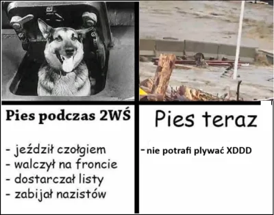 vladi_putin - Popelnilem mema tematycznego #powodz

 #heheszki