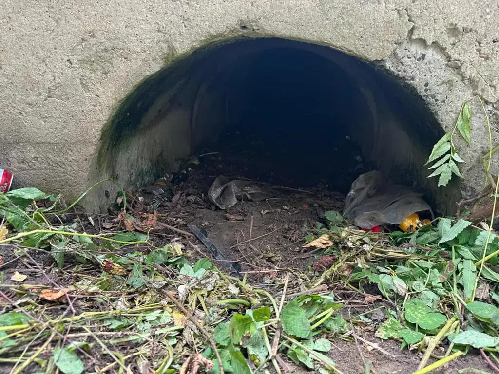 wscieklykabanos - @wscieklykabanos: