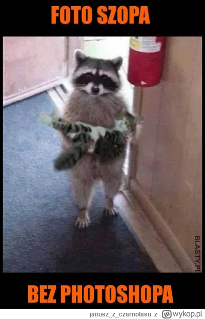 januszzczarnolasu - ( ͡° ͜ʖ ͡°)