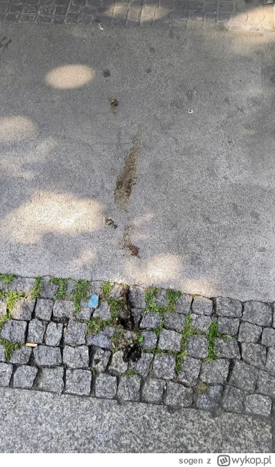 sogen - @GlebakurfaRutkowski_Patrol: jest wręcz odwrotnie prohibicja da wolność miesz...