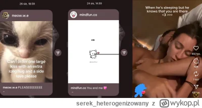 serekheterogenizowany - @Enigmameister: @andrzej-abecedowski @curiousboi @Aniallica @...