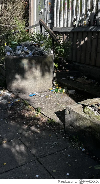 Magdozaur - Piękny dzień #lodz