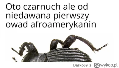 Darko69 - Czego się spodziewaliście ?