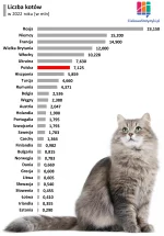 FACTIS - Samorządy miejskie powinny dokręcić śrubę kociarzom w postaci podatków - psi...