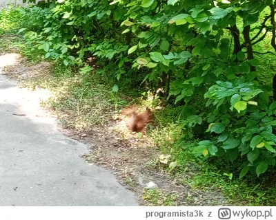 programista3k - @ArthasMenethil