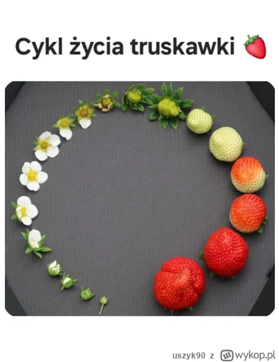 uszyk90 - #ciekawostki #przyroda