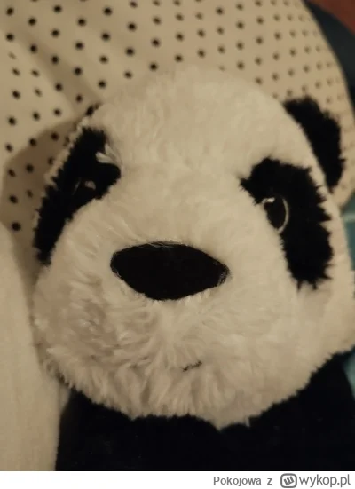 Pokojowa - Cześć. Jestem Pandusia. Milo Cie widzieć.