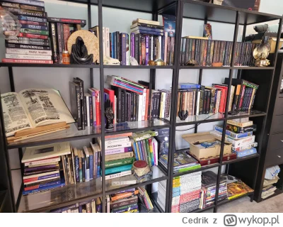Cedrik - A CO TY MASZ NA TYCH PÓŁKACH, KTÓRE NAZYWASZ PIESZCZOTLIWIE "BIBLIOTECZKĄ OK...