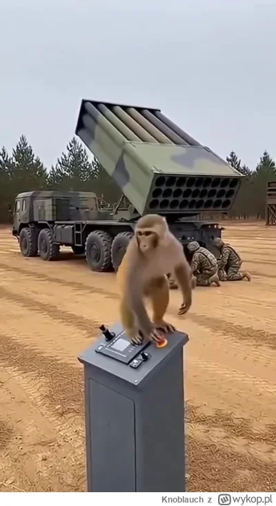 Knoblauch - #raportzpanstwasrodka
Sytuacja jest nieciekawa.