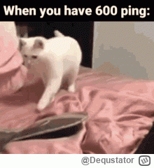 Dequstator - #awanturaokase rzułta