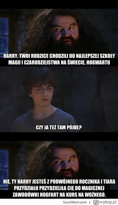 SaintWykopek - #harrypotter #heheszki