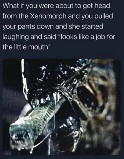 CynicznyDlugouch - @donfallo