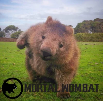 asdfghjkl - @WOWMichal: To może Mortal Wombat ( ͡° ͜ʖ ͡°)