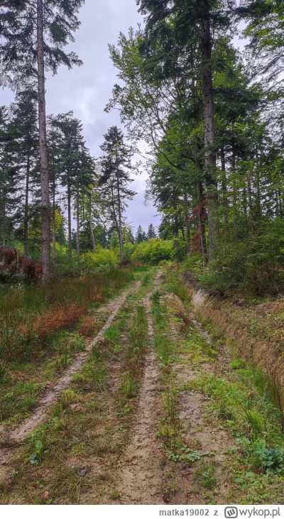 matka19002 - 591 378 + 92 + 43 = 591 513

Bywały bardziej treściwe tygodnie

#rowerow...