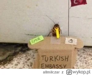 allmilczar - Tymczasem w tureckiej ambasadzie