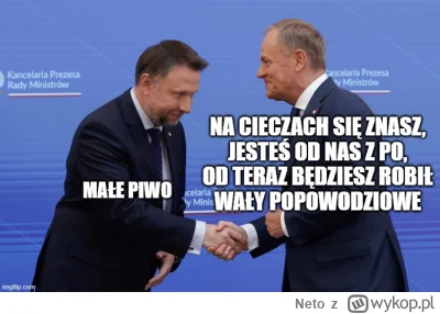 Neto - pełnomocnik rządu do spraw odbudowy po powodzi

#powodz #waly #polska #kierwin...