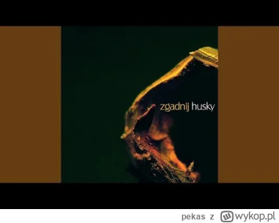 pekas - #triphop #muzyka #polskamuzyka #electropop #muzykaelektroniczna
Husky - Zgad...