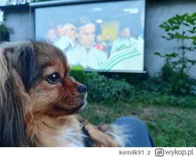 kemilk91 - Będziemy sobie oglądać #mecz #pokazpsa