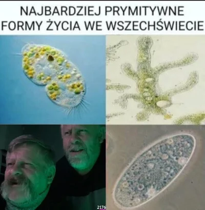 ZaczarowanyLump - #kononowicz #patostreamy #wsw #barney