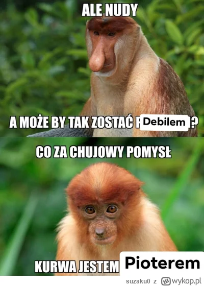 suzaku0 - #konkursnanajbardziejgownianymemznosaczem