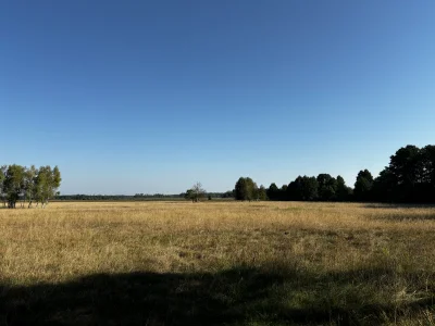 Szarmancki-Los - Anoni, chyba zacząłem osiągać wewnętrzną harmonię w życiu. Od jakieg...