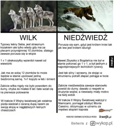 Beheris - Wilk vs niedźwiedź.