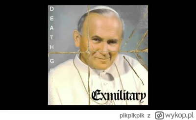 plkplkplk - #2137 #wykopobrazapapieza #deathgrips #heheszki