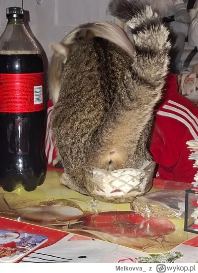 Melkovva_ - Święta 
#bozenarodzenie2025