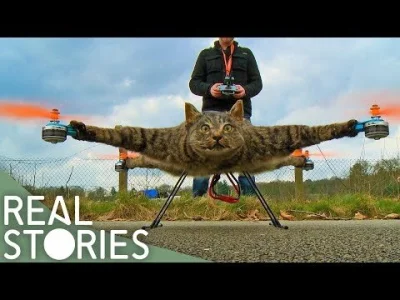 Rad-X - @artur-trzcionkowski: latający wypchany kot