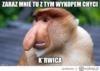 arahooo - #wykop #humorobrazkowy