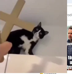 j23j - @Yaszu: było takie cos z szantami plusik jak znajdziesz

https://www.hejto.pl/...