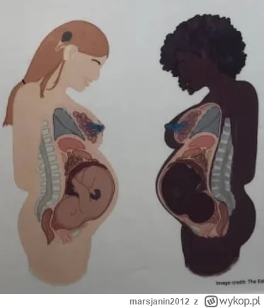 marsjanin2012 - @okoboji: (╯︵╰,)